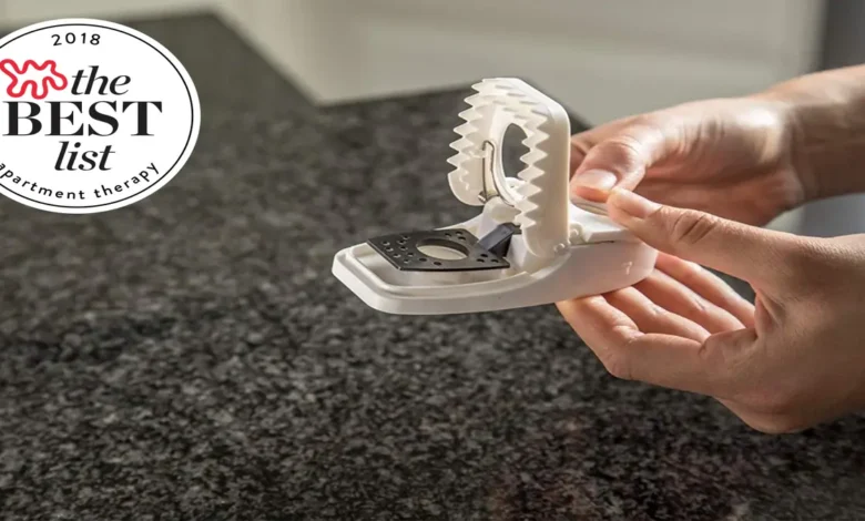 Best Mouse Trap