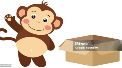 Monkey Holding Box