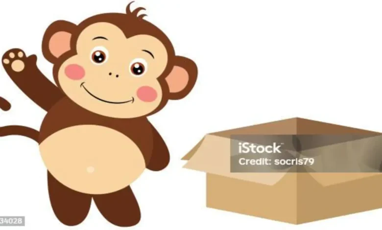 Monkey Holding Box